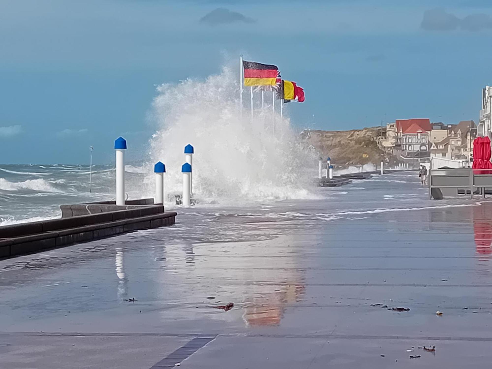 Thalassa أودريسيليه المظهر الخارجي الصورة